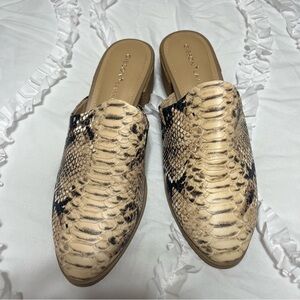 Gibson Latimer Joury snake print goat leather block heel mules in natural 10M